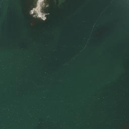 Satellite imagery of Morgan Point, US