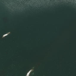 Satellite imagery of Morgan Point, US