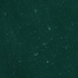 Satellite imagery of Mason Neck, US