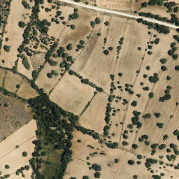 Satellite imagery of survey_point, PT