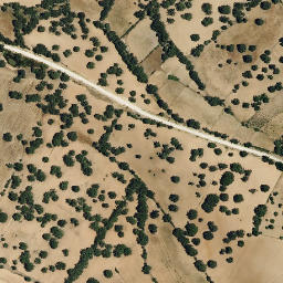 Satellite imagery of survey_point, PT