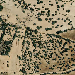 Satellite imagery of survey_point, PT