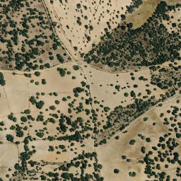 Satellite imagery of survey_point, PT