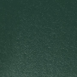 Satellite imagery of Bluff Point, US