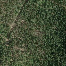 Satellite imagery of Thimbleberry Ridge, US