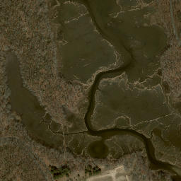 Satellite imagery of Rocky Neck, US