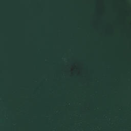 Satellite imagery of White Point, US