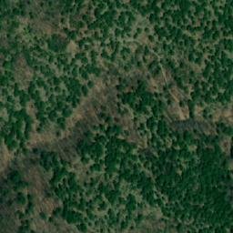 Satellite imagery of Golemi Rakovec, MK