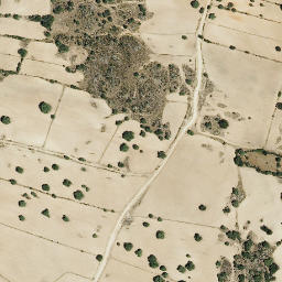 Satellite imagery of survey_point, PT