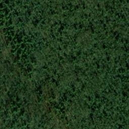 Satellite imagery of Fishery Point, US
