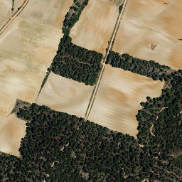 Satellite imagery of survey_point, ES