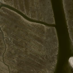 Satellite imagery of Griswold Point, US