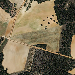 Satellite imagery of survey_point, ES