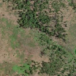 Satellite imagery of Forest and Stout Mine, US
