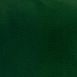 Satellite imagery of Old Kelsey Point, US