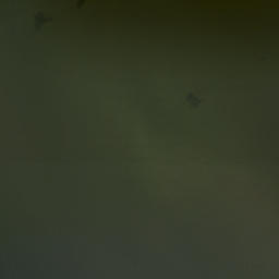 Satellite imagery of Griswold Point, US