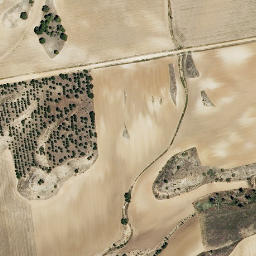 Satellite imagery of survey_point, ES