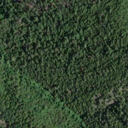 Satellite imagery of Forest and Stout Mine, US