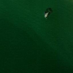 Satellite imagery of Money Point, US