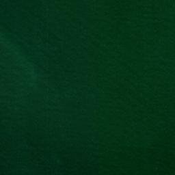 Satellite imagery of Old Kelsey Point, US