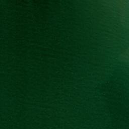 Satellite imagery of Chapman Point, US