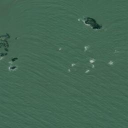 Satellite imagery of Chipman Point, US