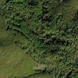 Satellite imagery of Nikotinec, MK