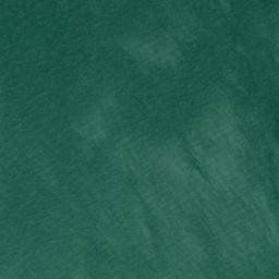 Satellite imagery of Webster Point, US