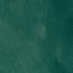 Satellite imagery of Pilots Point, US