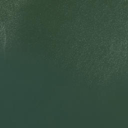 Satellite imagery of Lyndes Neck, US