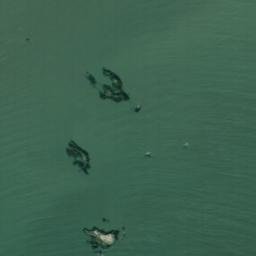 Satellite imagery of Tuttles Point, US