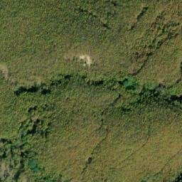 Satellite imagery of Košutica, MK