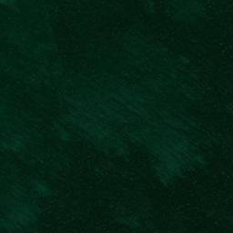 Satellite imagery of Indian Neck Point, US