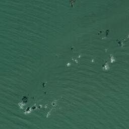 Satellite imagery of Mulberry Point, US