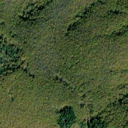 Satellite imagery of Košutica, MK