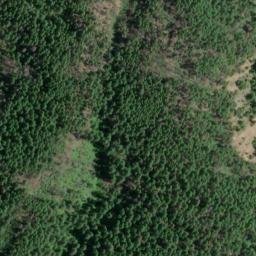 Satellite imagery of Negro Hill Mine, US
