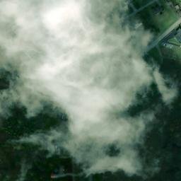 Satellite imagery of Tyler Point, US