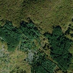 Satellite imagery of Orlo Sedelo, MK