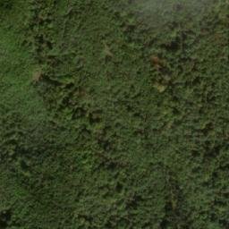 Satellite imagery of Kozarovec, MK