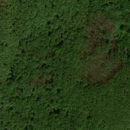 Satellite imagery of Severoiztochni Rodopi, BG