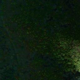 Satellite imagery of Tyler Point, US
