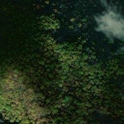 Satellite imagery of Tyler Point, US