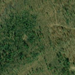 Satellite imagery of Short Mountain, US