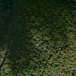 Satellite imagery of Tyler Point, US