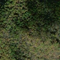 Satellite imagery of Tyler Point, US