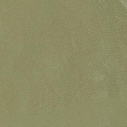Satellite imagery of Grassy Point, US