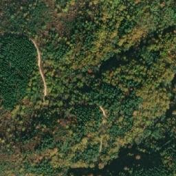 Satellite imagery of Boškov Dab, MK