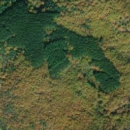 Satellite imagery of Boškov Dab, MK