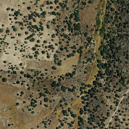 Satellite imagery of survey_point, PT