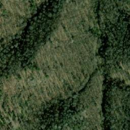 Satellite imagery of Madžarsko Borče, MK